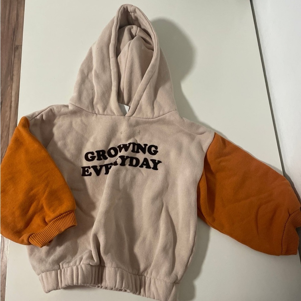 Zara hoodie